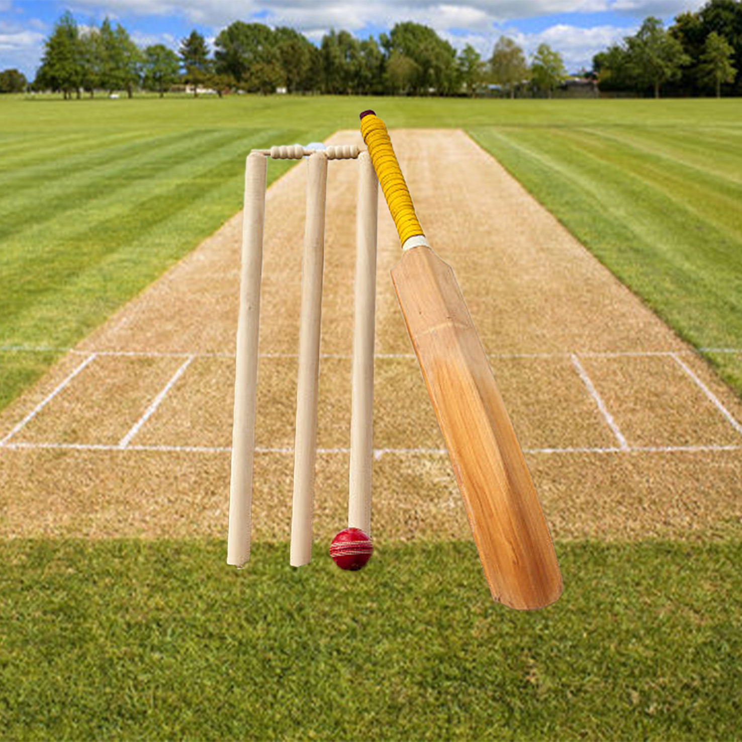 Cricket